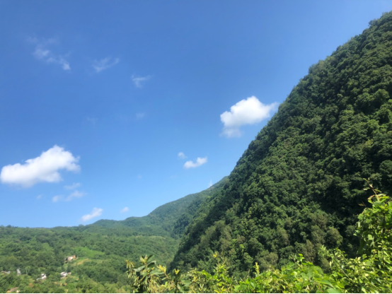 伟德国际1946bv官网